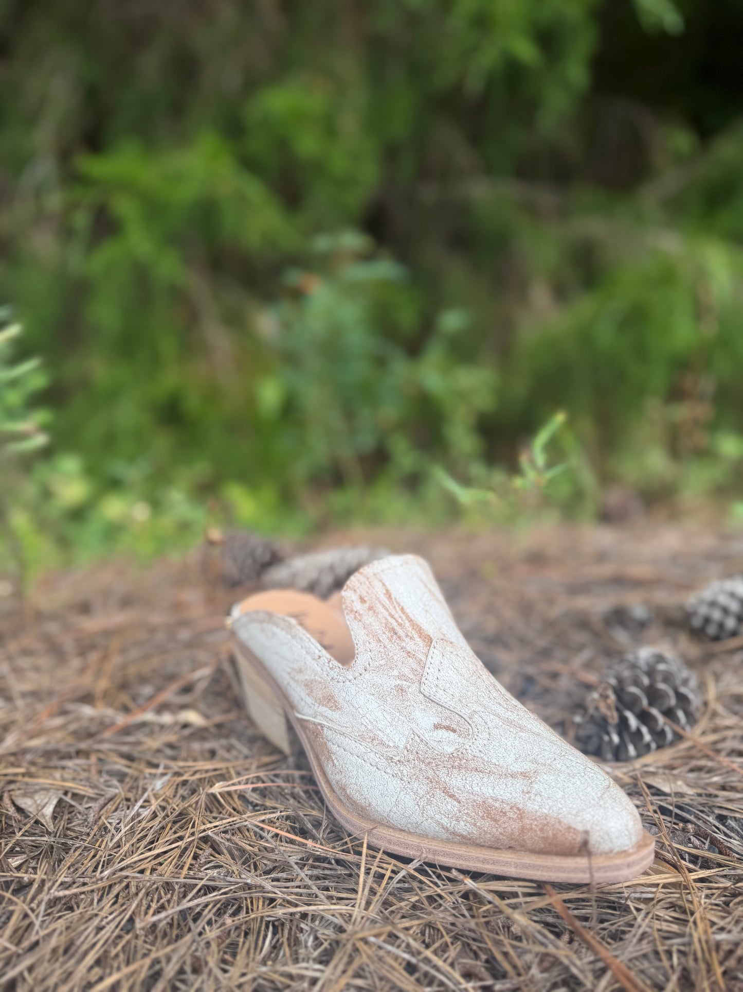 Hey Girl by Corkys “Saloon” Mule